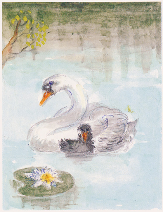 Watercolour illustration of The Ugly Duckling by Marius Guldager